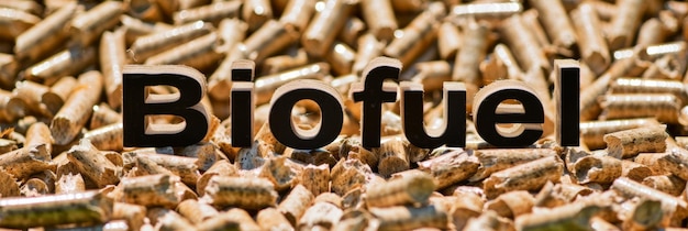 Photo wood pellets container with prominent biofuel label for eco friendly fuel solutions