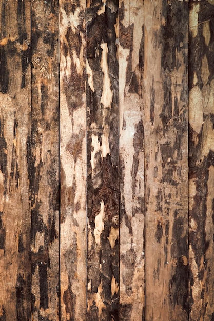 Wood plank texture