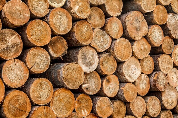 Wood round timber in a pile