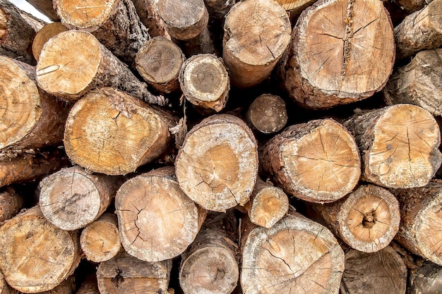 Wood round timber in a pile