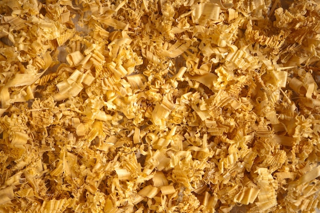 Wood Shavings for Animals. Timber shavings background pattern. Bedding for Horses or chikens. Spruce and Pine softwood as raw material.