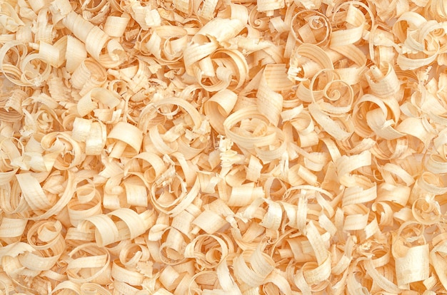 Wood shavings on white background top view