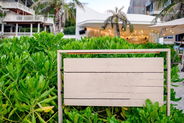 Wood signboard with green plant on the beach