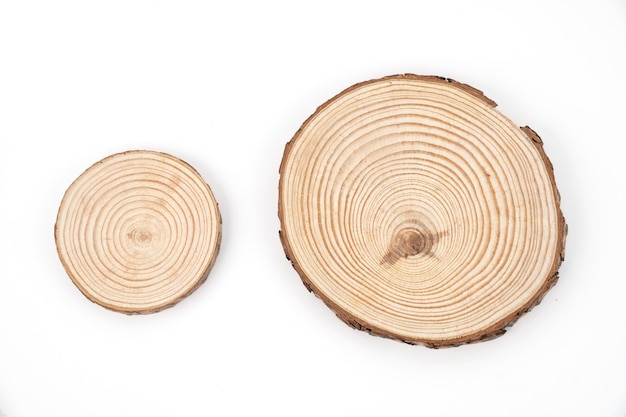 Wood slice with Annual Ring Pattern on a white background, circle, round.