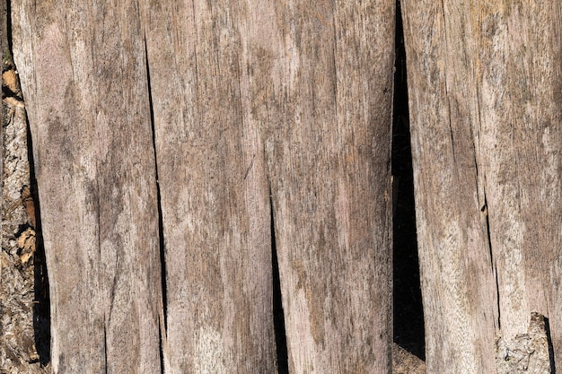 Wood surface with its structure, details and features of wood