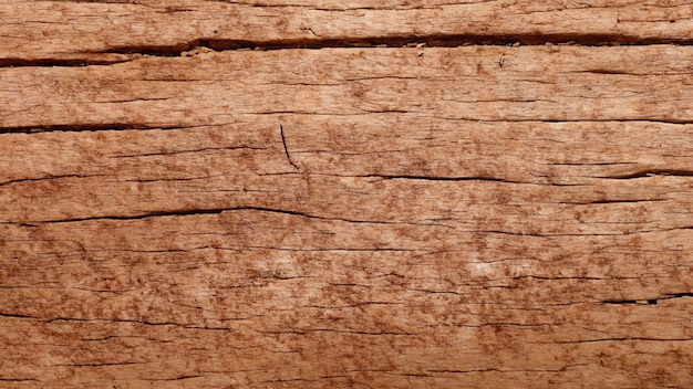 wood tecture background