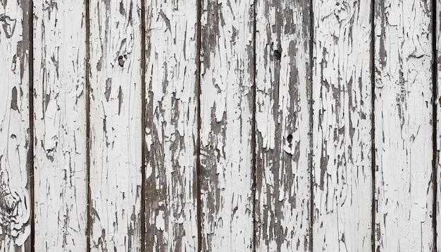 wood texture background old panels