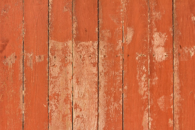 Wood texture. background old panels