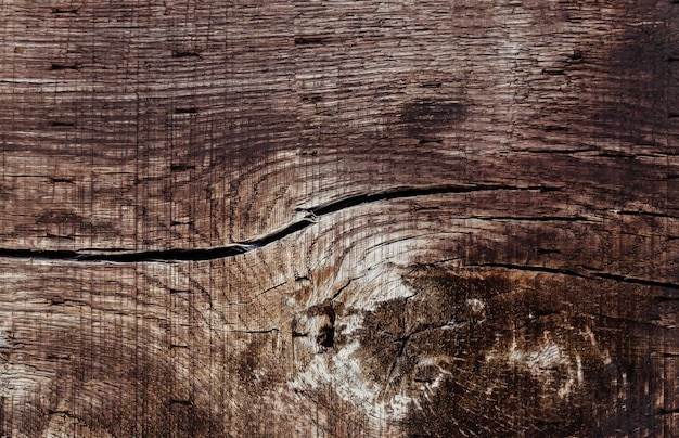 Wood texture background Texture Of Wood detail textured dry material