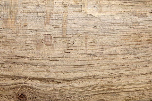 wood texture background wooden table timber