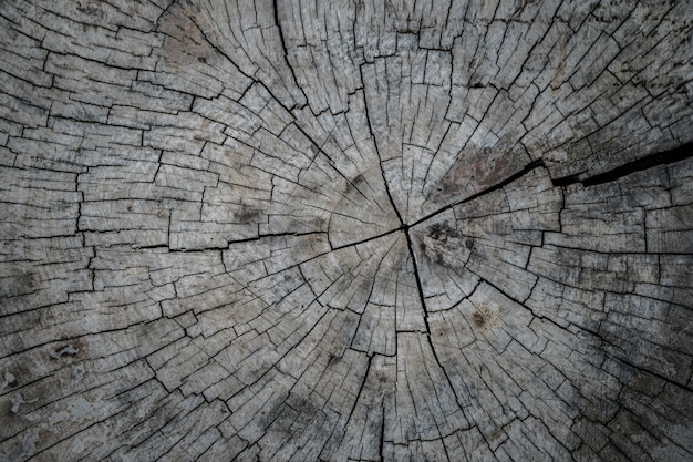 wood texture background