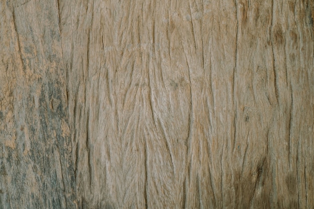 wood texture background