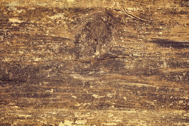 Wood texture background