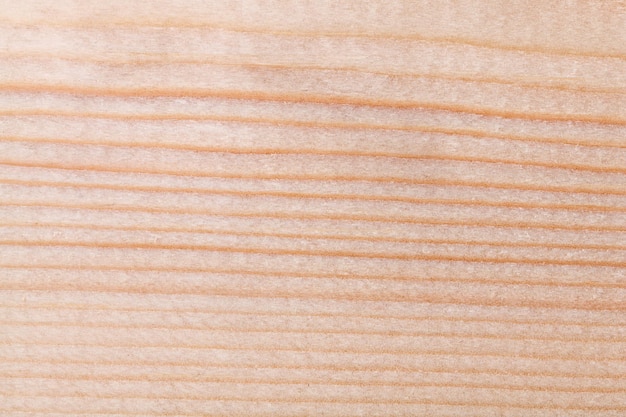 Wood texture background