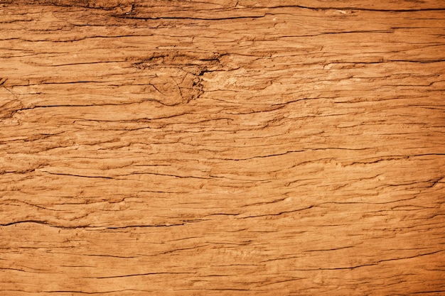 Wood Texture Background