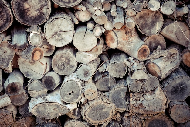 Wood texture.Pile of cut timber