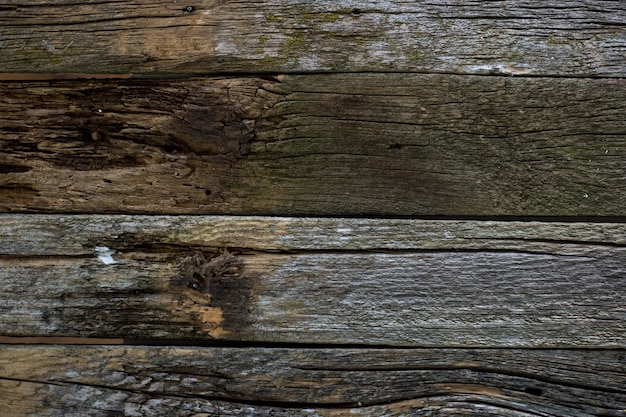 wood texture Texture of an old board old tree Background boards