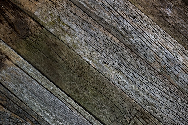 wood texture Texture of an old board old tree Background boards