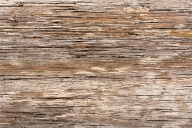 Wood Texture With Natural Pattern