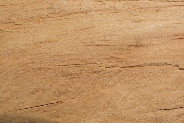 Wood texture with natural patterns