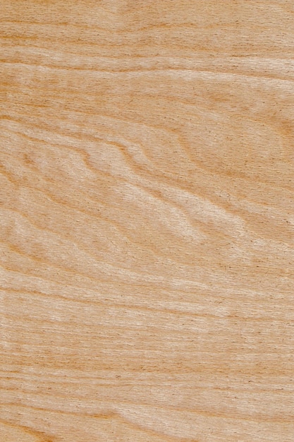 Wood texture with natural patterns