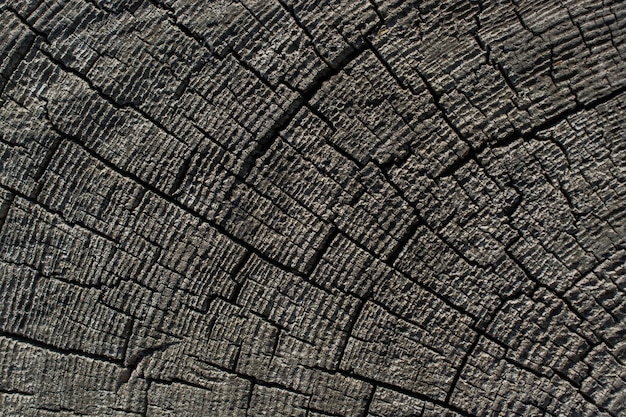 Wood texture with natural patterns