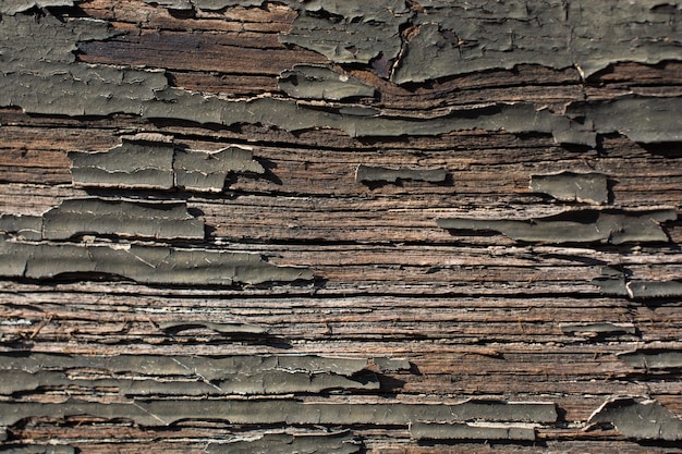 Wood texture with natural patterns