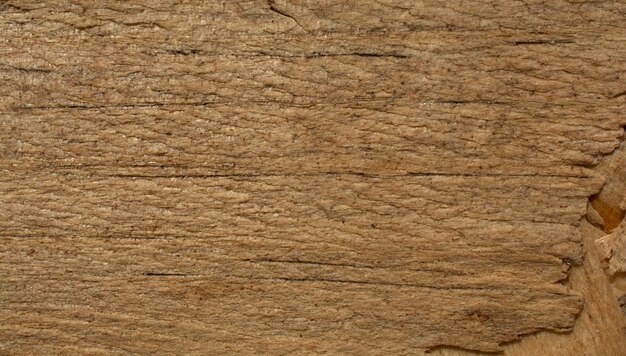 Wood texture with natural patterns