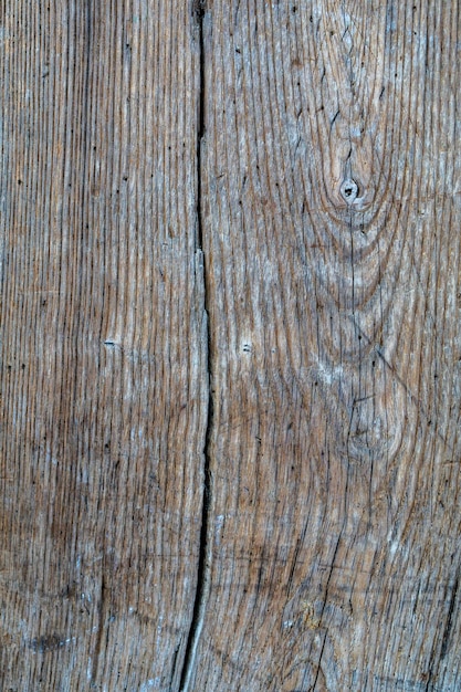 Wood texture