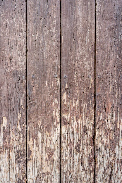 Wood texture