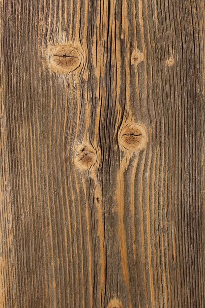 Wood texture