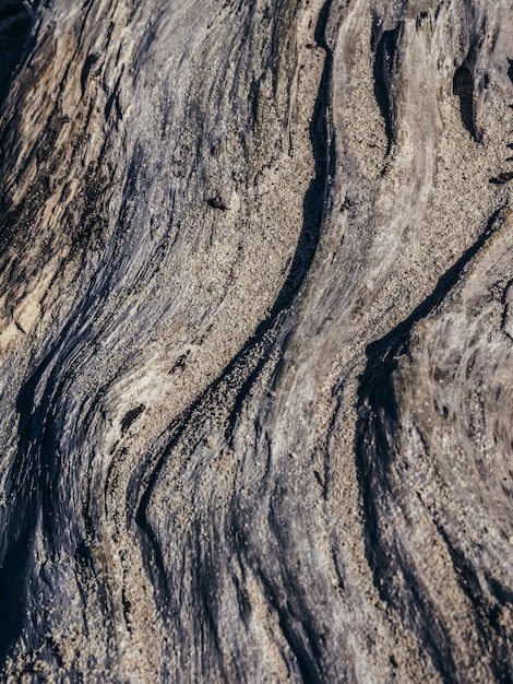 Wood texture