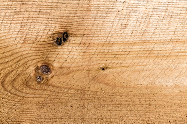 Wood tree board texture pattern