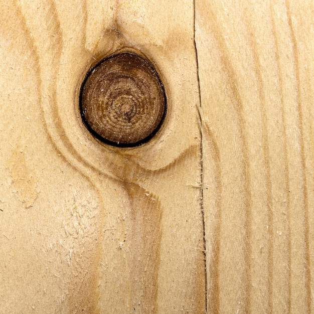 Wood tree board texture pattern