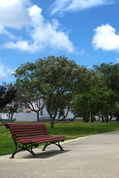 Photo wooded park for walking or runing in the open air with benches for sitting and resting