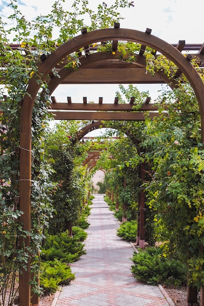 Wooden arch from plants over a path from a tile leaving in perspective in the afternoon