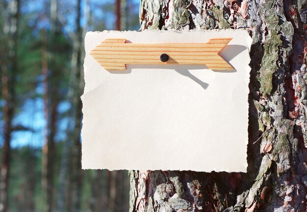 Wooden arrows sign and note paper in the forest on a tree in bright sunshine