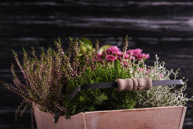 Wooden basket with green plants and flowers on black