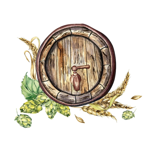 Wooden beer barrel and hop vine wheat ear watercolor illustration isolated on white