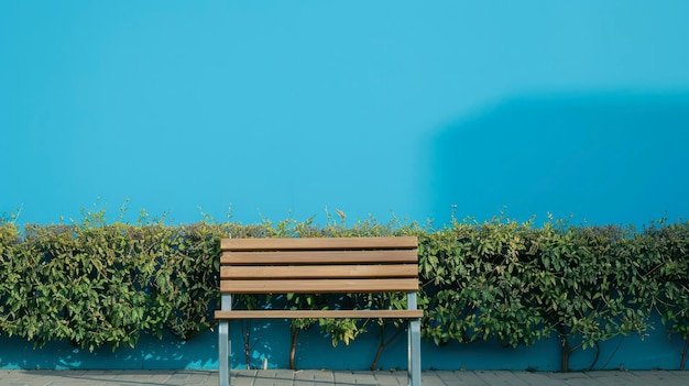 Wooden Bench Against a Blue Wall With Green Bushes