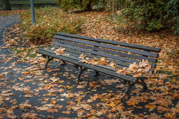 Wooden bench in the in autumn park while fall. 