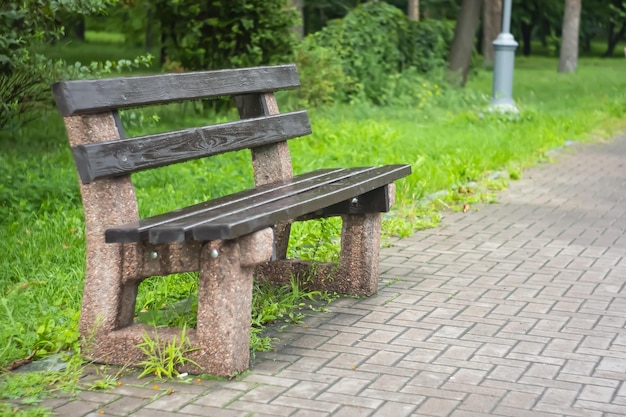 Wooden bench in the city park Garden Bench in park with trees