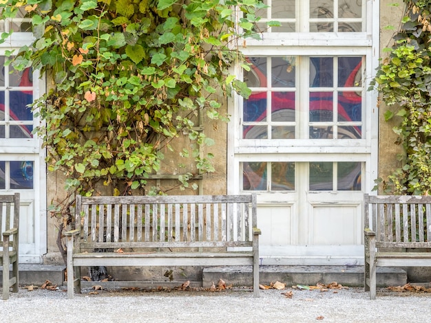 Wooden bench in garden