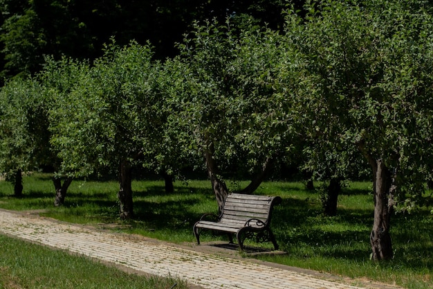 Wooden bench in a large garden