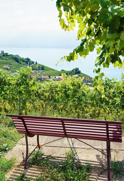 Wooden bench at Lavaux Vineyard Terraces hiking trail, Lake Geneva and Swiss mountains, Lavaux-Oron district, Switzerland