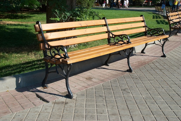 Wooden bench in the park with green grass