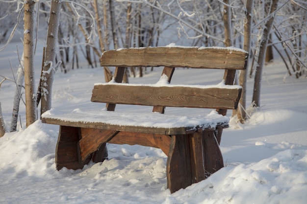 Wooden bench in the winter park covered with snow