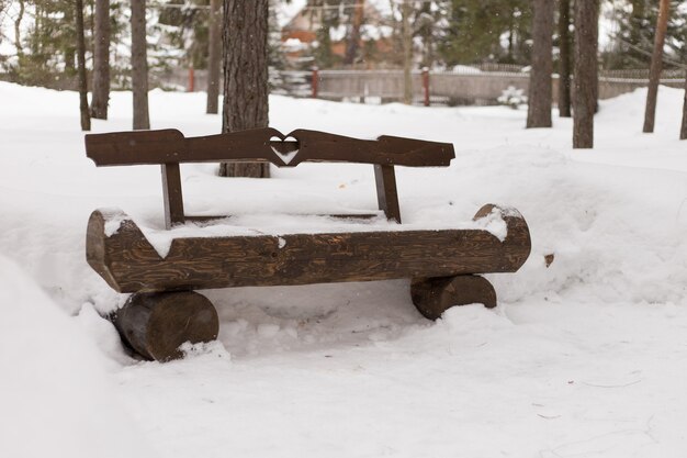 Wooden bench in winter park