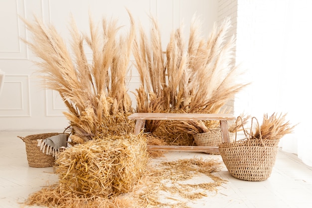 Wooden bench with dry hay in the interior