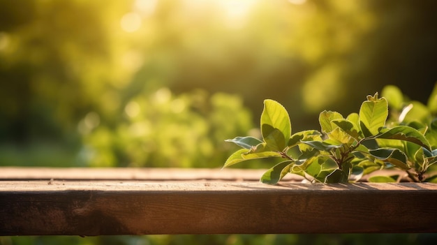 A wooden bench with a plant on it